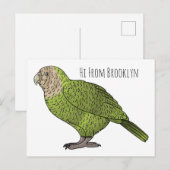 Cartoon Kakapo Postkarte (Vorne/Hinten)