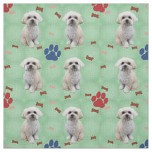 Cartoon Maltese