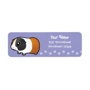Cartoon-Meerschweinchen (glattes Haar)