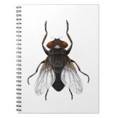 Cartoon Notizblock (Vorderseite)