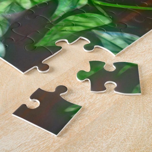 Cartoon Owl in Banyan Tree Puzzle (Seite)