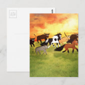 Cartoon Pferde mit Bull Postkarte (Vorne/Hinten)