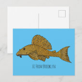 Cartoon Pleco Postkarte (Vorne/Hinten)