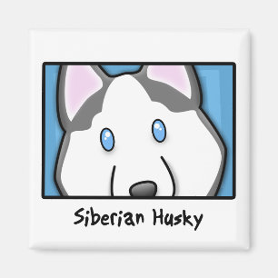 Cartoon-quadratischer sibirischer Schlittenhund Magnet
