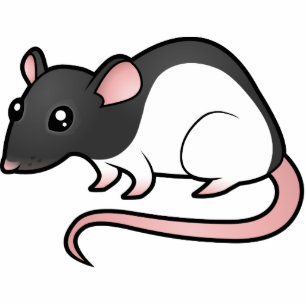 Cartoon-Ratte Fotoskulptur Magnet
