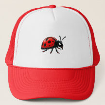 Cartoon Red Ladybug Cute Insect Character