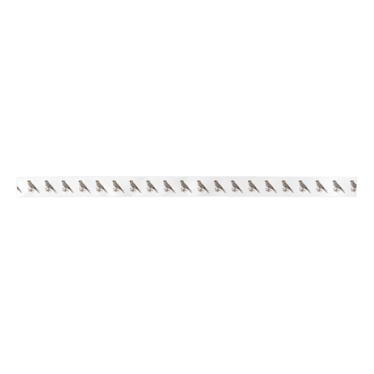 Cartoon Satinband (Vorderseite)