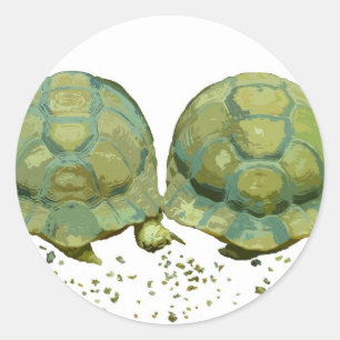 Cartoon Schildkrötenkleber Runder Aufkleber