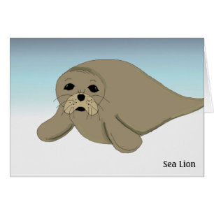 Cartoon Sea Lion Note Card