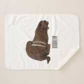 Cartoon Sherpadecke (Vorderseite (Horizontal))