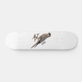 Cartoon Skateboard (Horizontal)