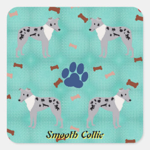 Cartoon Smooth Collie Quadratischer Aufkleber