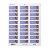 Cartoon Snake (Vorne)