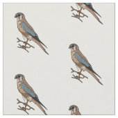 Cartoon Stoff (Nahaufnahme)