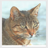 Cartoon Style Tabby Cat RB Aufkleber (Blatt)