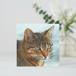 Cartoon Style Tabby Cat RB Feiertagskarte