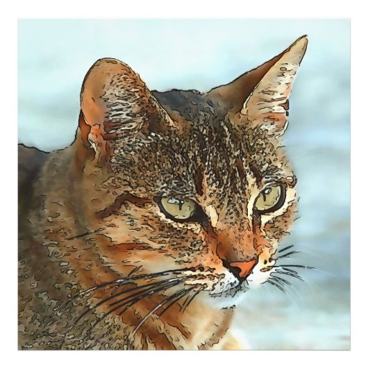 Cartoon Style Tabby Cat RB Fotodruck (Vorne)