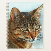 Cartoon Style Tabby Cat RB Planer (Vorderseite)