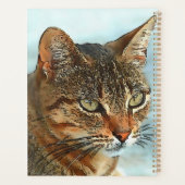 Cartoon Style Tabby Cat RB Planer (Rückseite)