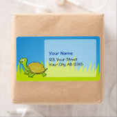 Cartoon Turtle (Insitu)