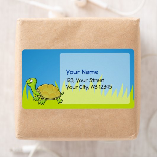Cartoon Turtle (Insitu)