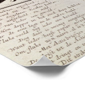 Cartoon verleumdet das katastrophale Experiment Poster (Ecke)