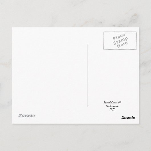 Cartoon von Charles Darwin 1871 Postkarte (Rückseite)