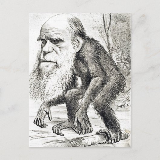Cartoon von Charles Darwin 1871 Postkarte (Vorderseite)