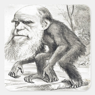 Cartoon von Charles Darwin 1871 Quadratischer Aufkleber