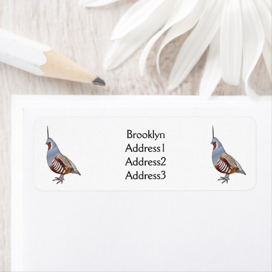 Cartoon von Wachtelvögeln (Insitu)