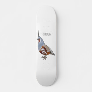 Cartoon von Wachtelvögeln Skateboard