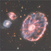 Cartwheel Galaxy, James Webb Space Telescope Aufkleber (Vorderseite)
