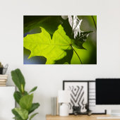 Carulmare Maple Leaf CC0041 Poster (Heimbüro)
