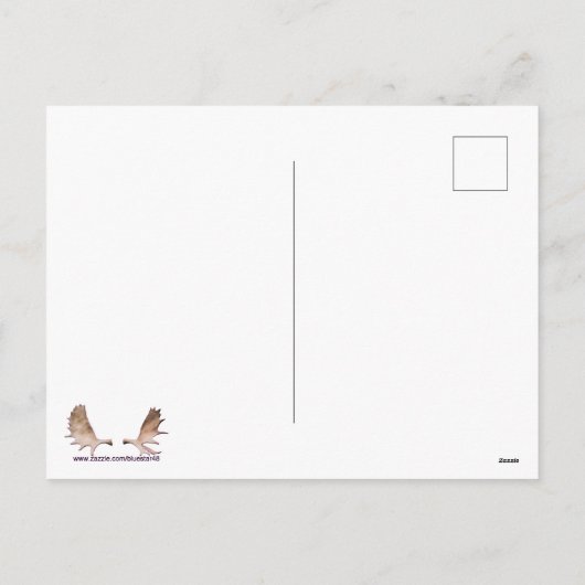 Carved Atlantic Puffin Feiertagspostkarte (Rückseite)