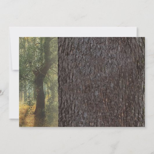 Carved Heart Tree Wedding | Rustikale String Light Einladung (Rückseite)