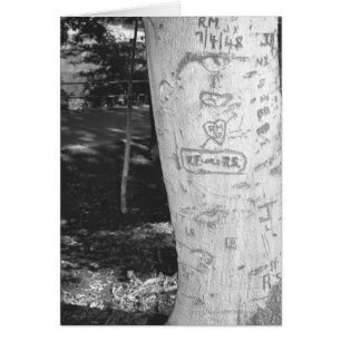 Carving on birch tree trunk B&W