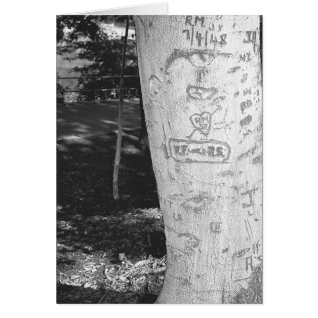 Carving on birch tree trunk B&W (Vorne)