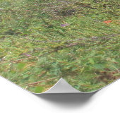 Carvoeiro Poster (Ecke)