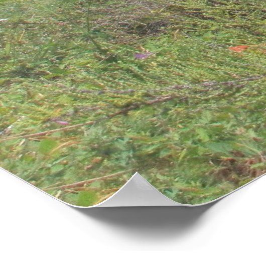 Carvoeiro Poster (Ecke)