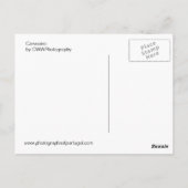 Carvoeiro Postkarte (Rückseite)