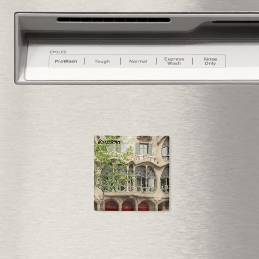 Casa Batllo, Barcelona Magnet (In Situ (Geschirrspüler))