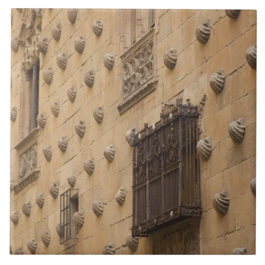 Casa de las Conchas, Haus der Muscheln Fliese (Vorderseite)