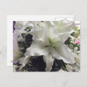 Casablanca Lido Locarno Postkarte (Vorne/Hinten)