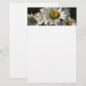 Casacding Gänseblümchen-Briefpapier Briefpapier (Vorne/Hinten)