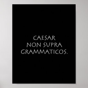 Cäsar, nicht supra grammaticos poster