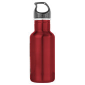 Cascadas de Agua Azul, Chiapas, Mexiko Trinkflasche (Rückseite)