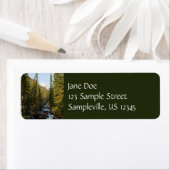 Cascade Creek at Grand Teton (Insitu)