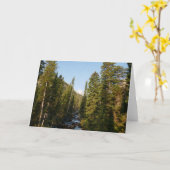 Cascade Creek bei Grand Teton Karte (Gelbe Blume)