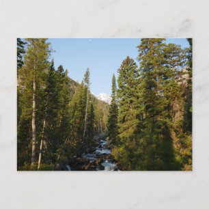 Cascade Creek bei Grand Teton Postkarte