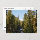 Cascade Creek bei Grand Teton Postkarte (Vorne/Hinten)